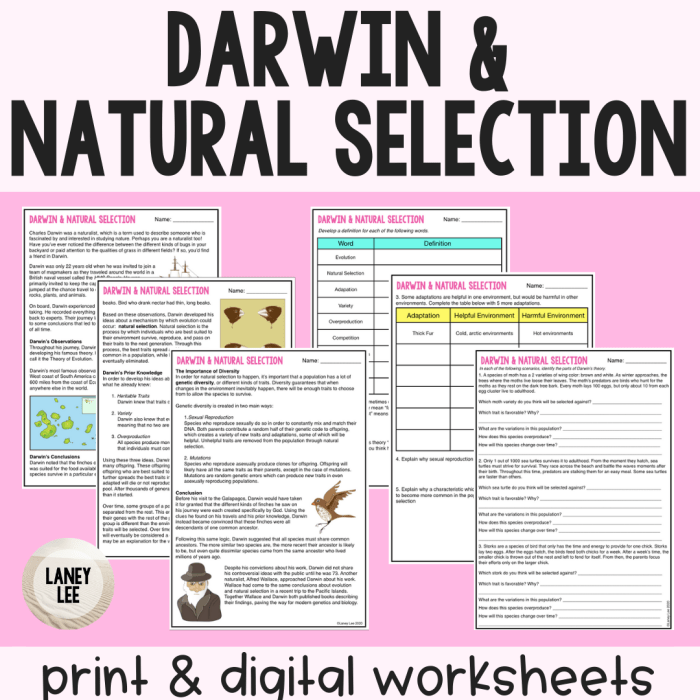 Evolution and natural selection worksheet answers