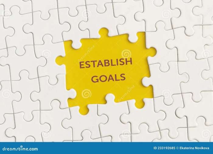 Establish goals for the company's sales and production personnel